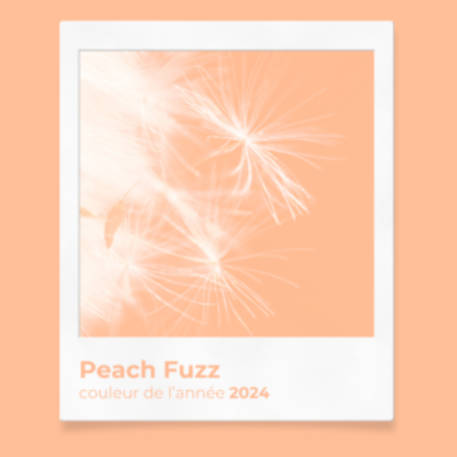 Couleur tendance 2024 peach fuzz