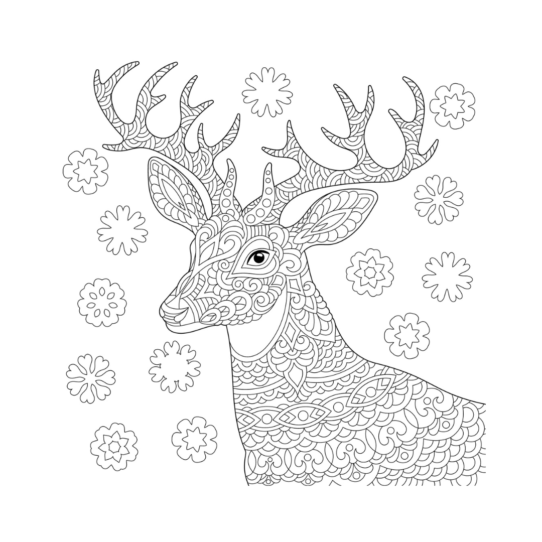 Tableau sur toile à colorier cerf de noël 30x30 cm Tableau sur toile à colorier cerf de noël 30x30 cm
