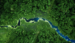 L'enjeu environnemental pour Ceanothe