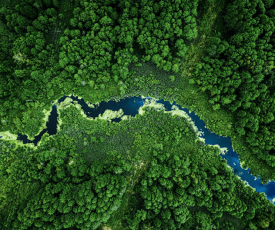 L'enjeu environnemental pour Ceanothe