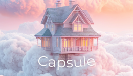 Capsule