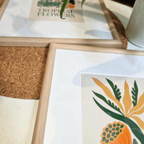 Passe-partout Ceanothe