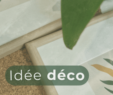Idée déco salon