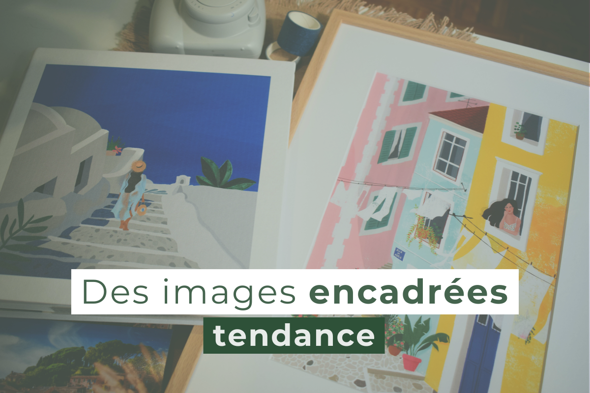 Images encadrées tendance Ceanothe