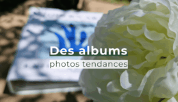 albums tendances